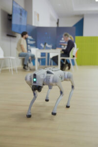 animaloidi