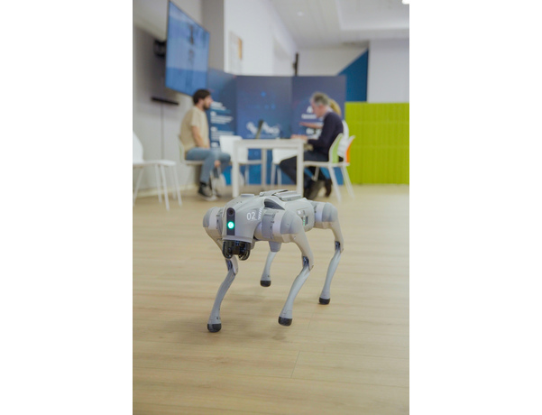 Cane Robot ARTES
