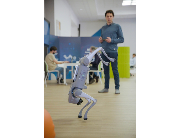 Cane Robot Hub ARTES